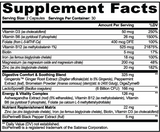 GLP-1 Support 120 Capsules